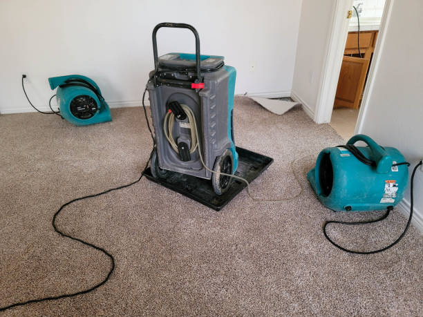 Best Flood restoration services  in Warminster Heights, PA