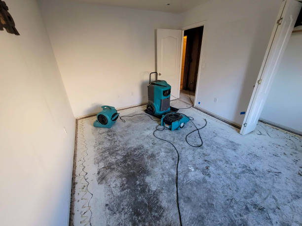 Best Fire Damage Restoration  in Warminster Heights, PA