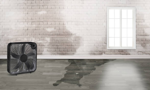 Warminster Heights, PA Water damage restoration Company