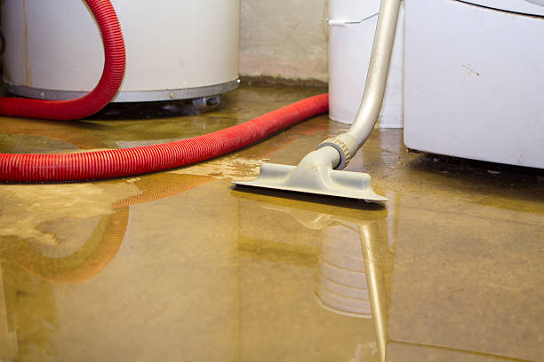 Best Flood restoration services  in Warminster Heights, PA