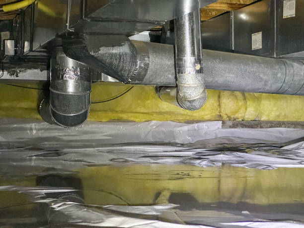 Best Sewage cleanup and water damage restoration  in Warminster Heights, PA