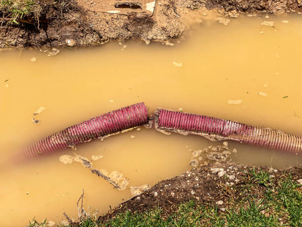 Best Flood damage cleanup  in Warminster Heights, PA