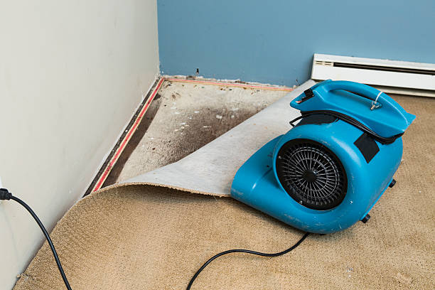  Warminster Heights, PA Water damage restoration Pros